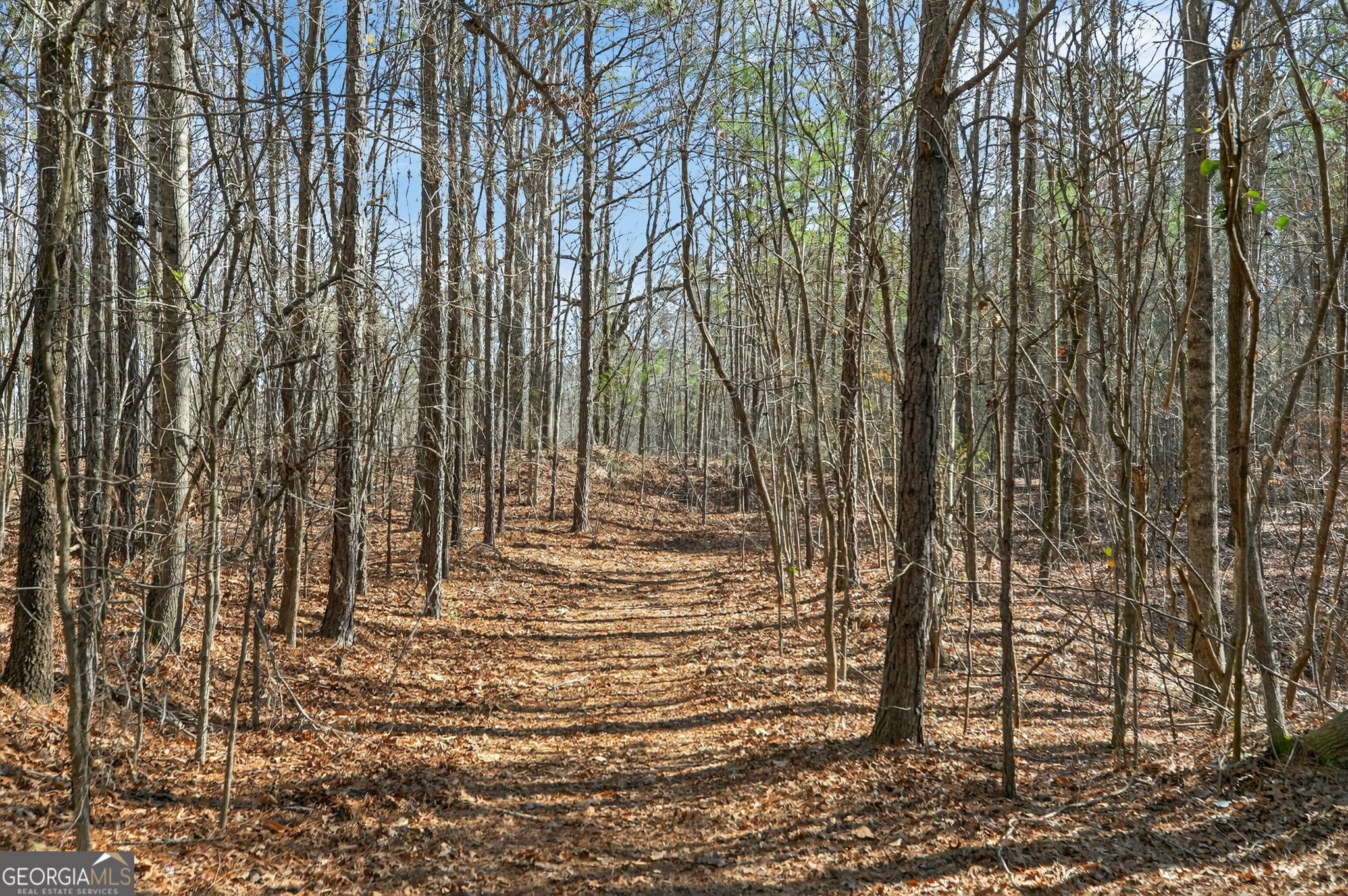 5010 Highway 27 Franklin, GA 30217 - Photo 24 of 39 a view of forest
