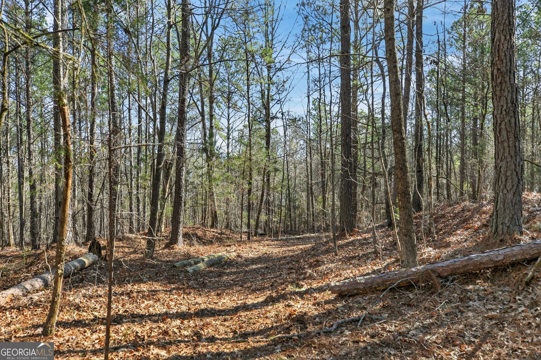 5010 Highway 27 Franklin, GA 30217 - Photo 25 of 39 a view of backyard with tree