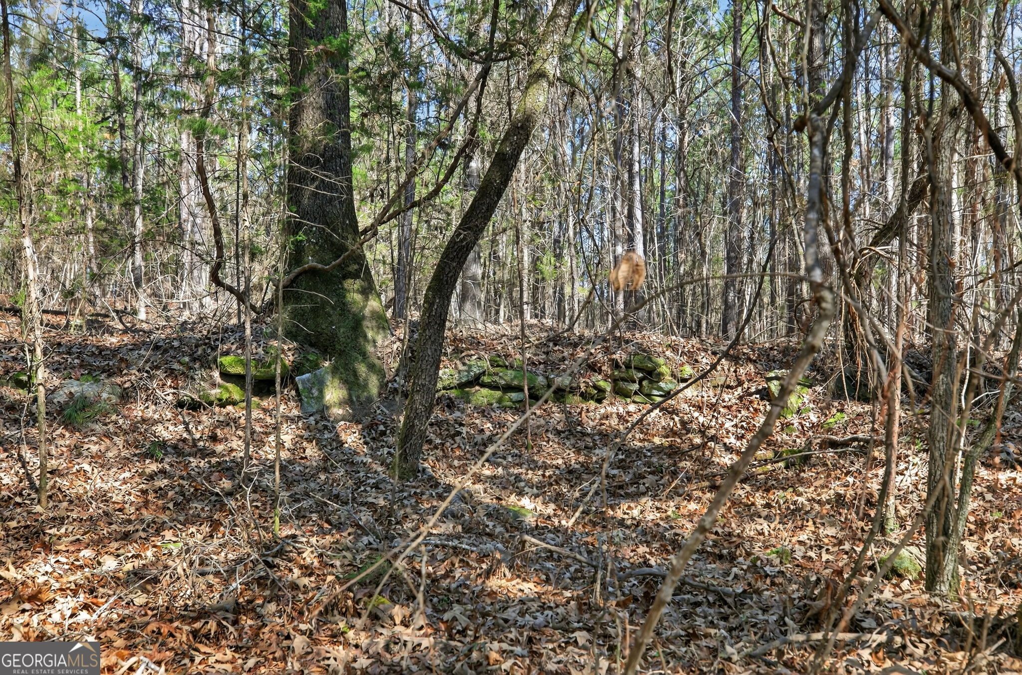 5010 Highway 27 Franklin, GA 30217 - Photo 26 of 39