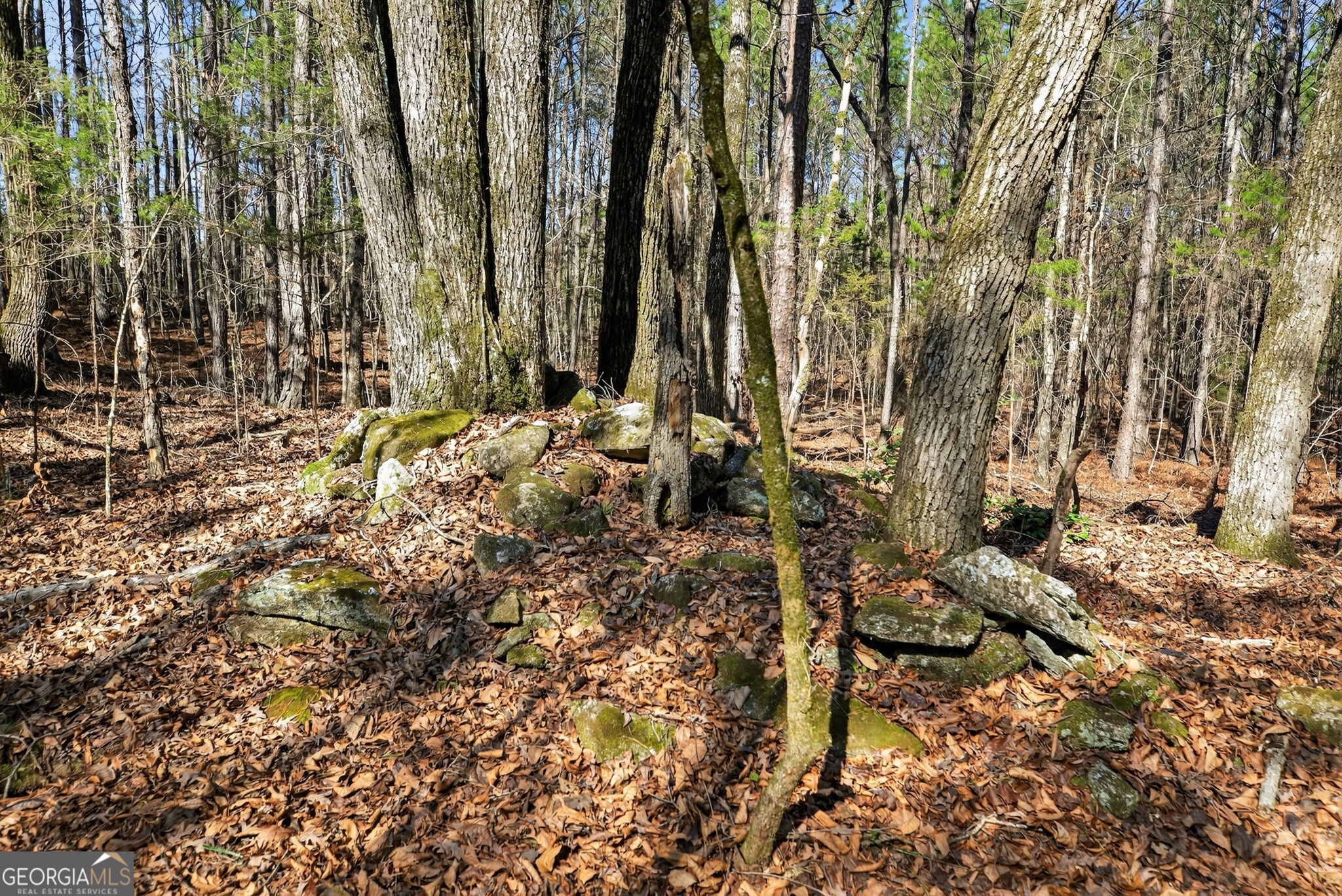 5010 Highway 27 Franklin, GA 30217 - Photo 28 of 39 a view of yard
