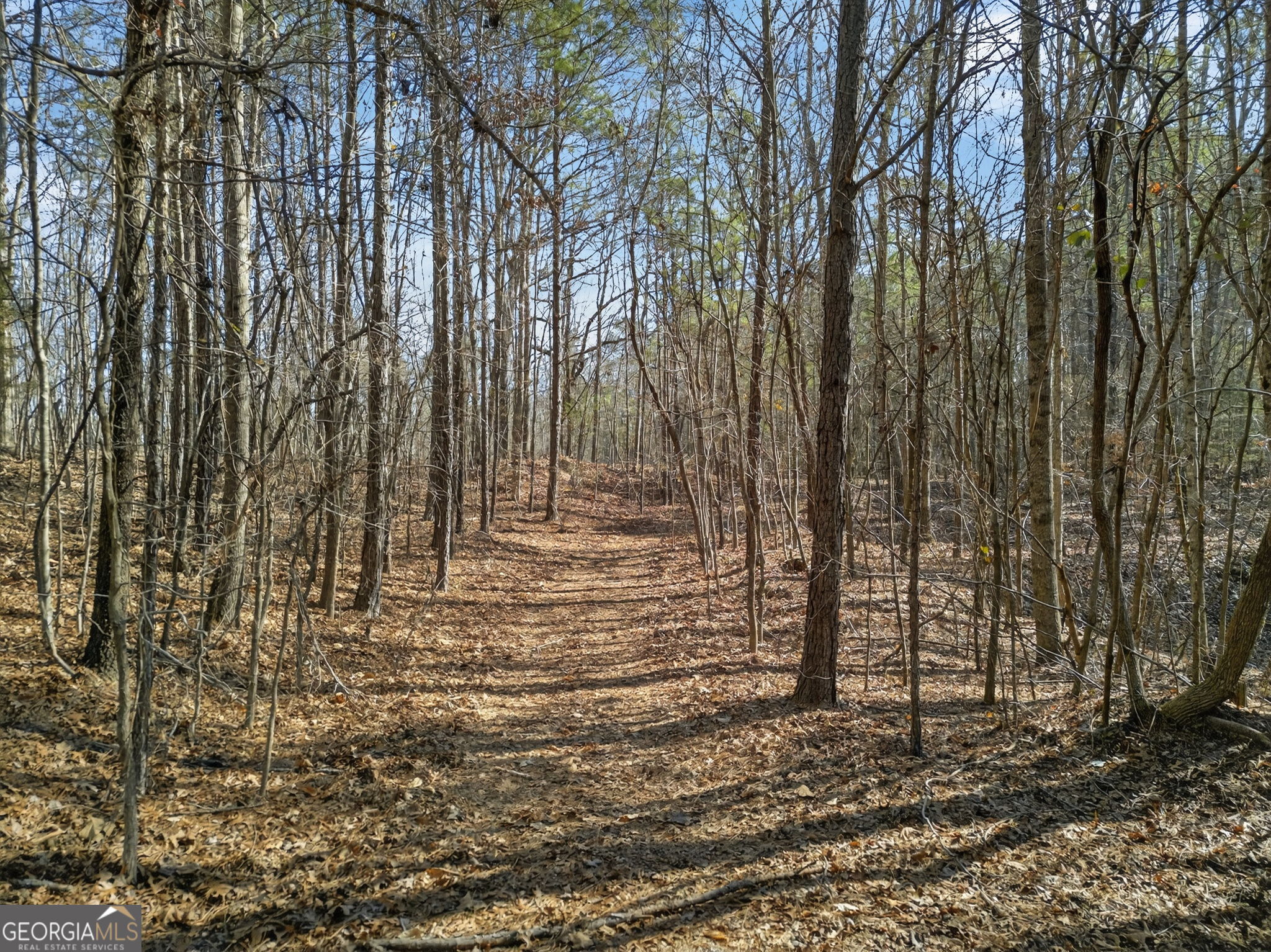 5010 Highway 27 Franklin, GA 30217 - Photo 30 of 39 a view of forest