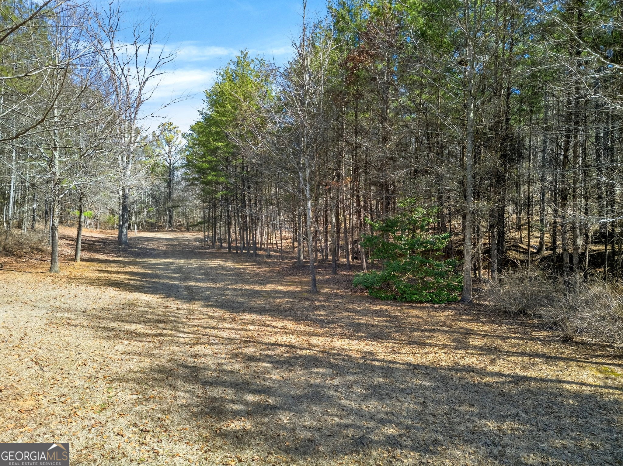 5010 Highway 27 Franklin, GA 30217 - Photo 31 of 39 a view of outdoor space with trees all around