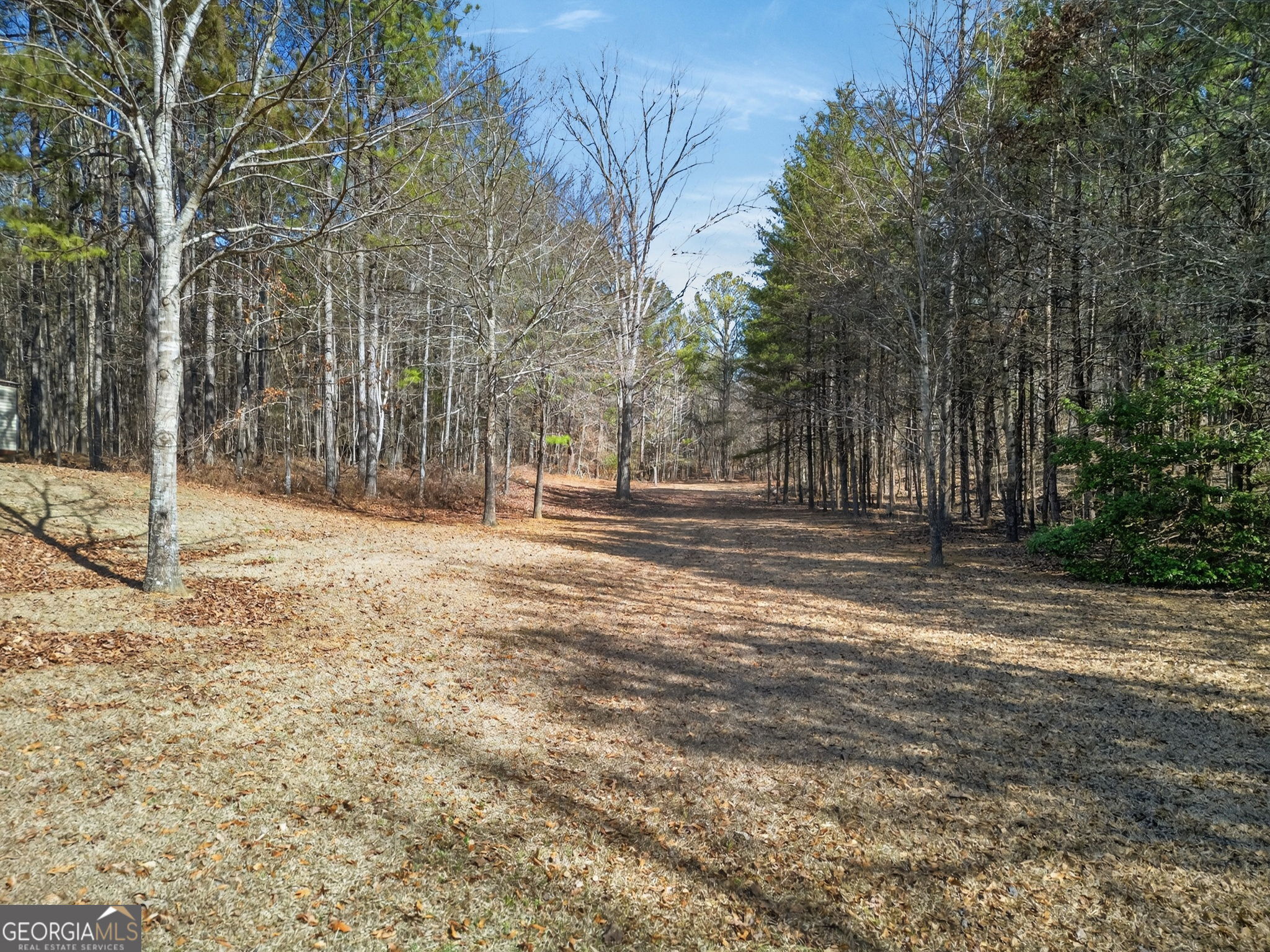 5010 Highway 27 Franklin, GA 30217 - Photo 32 of 39 a view of outdoor space with trees