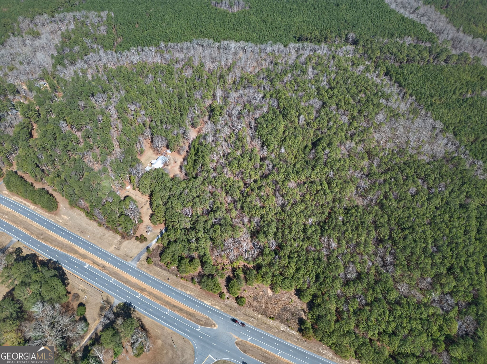 5010 Highway 27 Franklin, GA 30217 - Photo 33 of 39 a view of a yard with plants