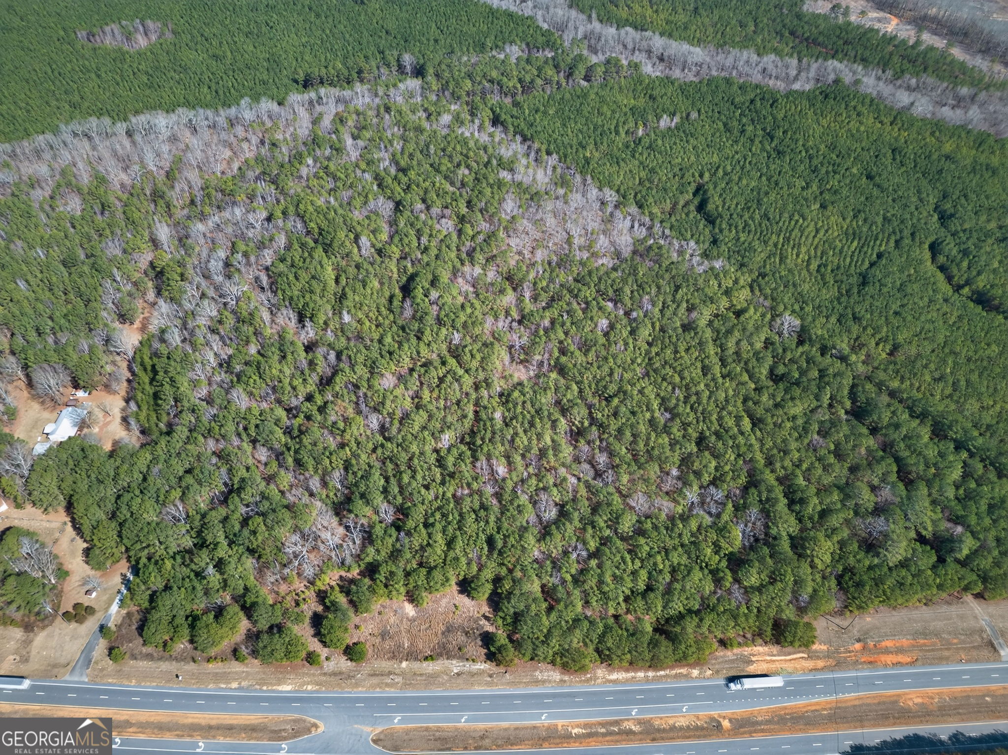 5010 Highway 27 Franklin, GA 30217 - Photo 34 of 39 a view of a yard