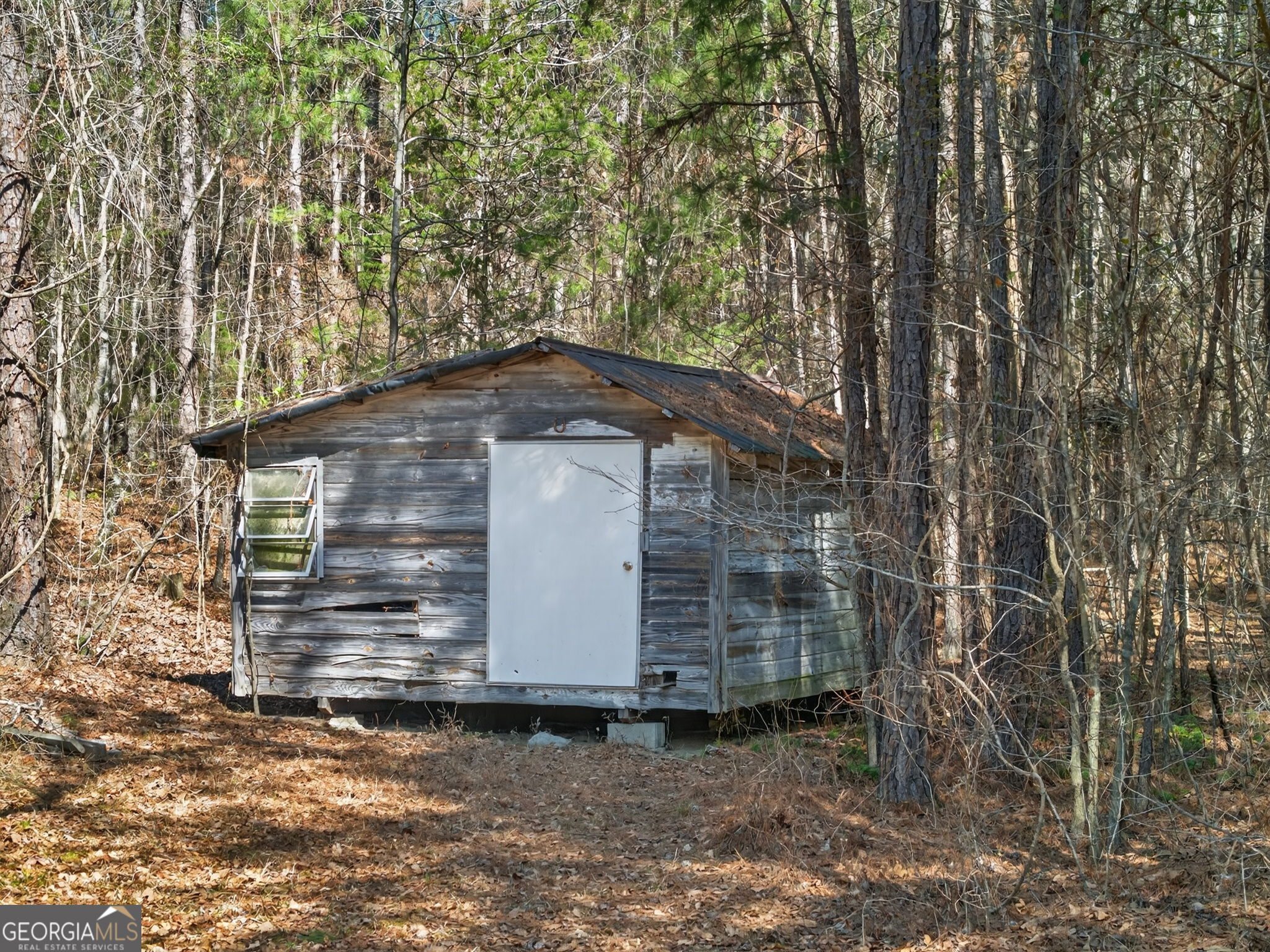 5010 Highway 27 Franklin, GA 30217 - Photo 37 of 39 a house view with a backyard