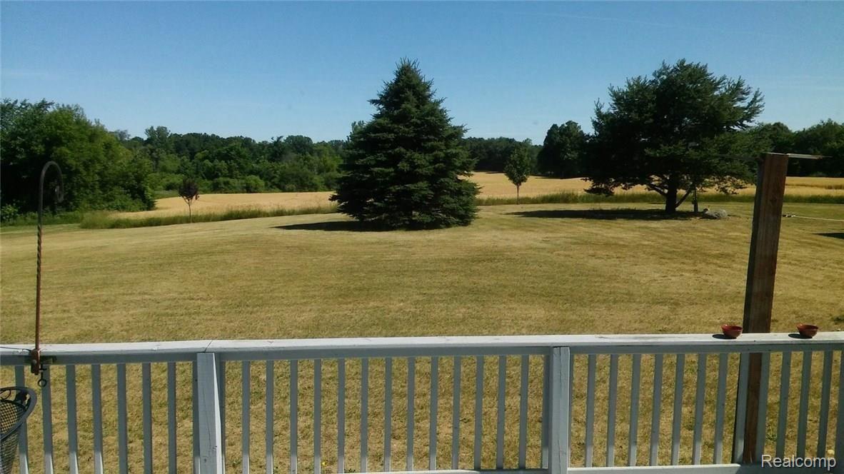 19028 Williamsville Road Gregory, MI 48137 - Photo 26 of 37 back yard.jpg