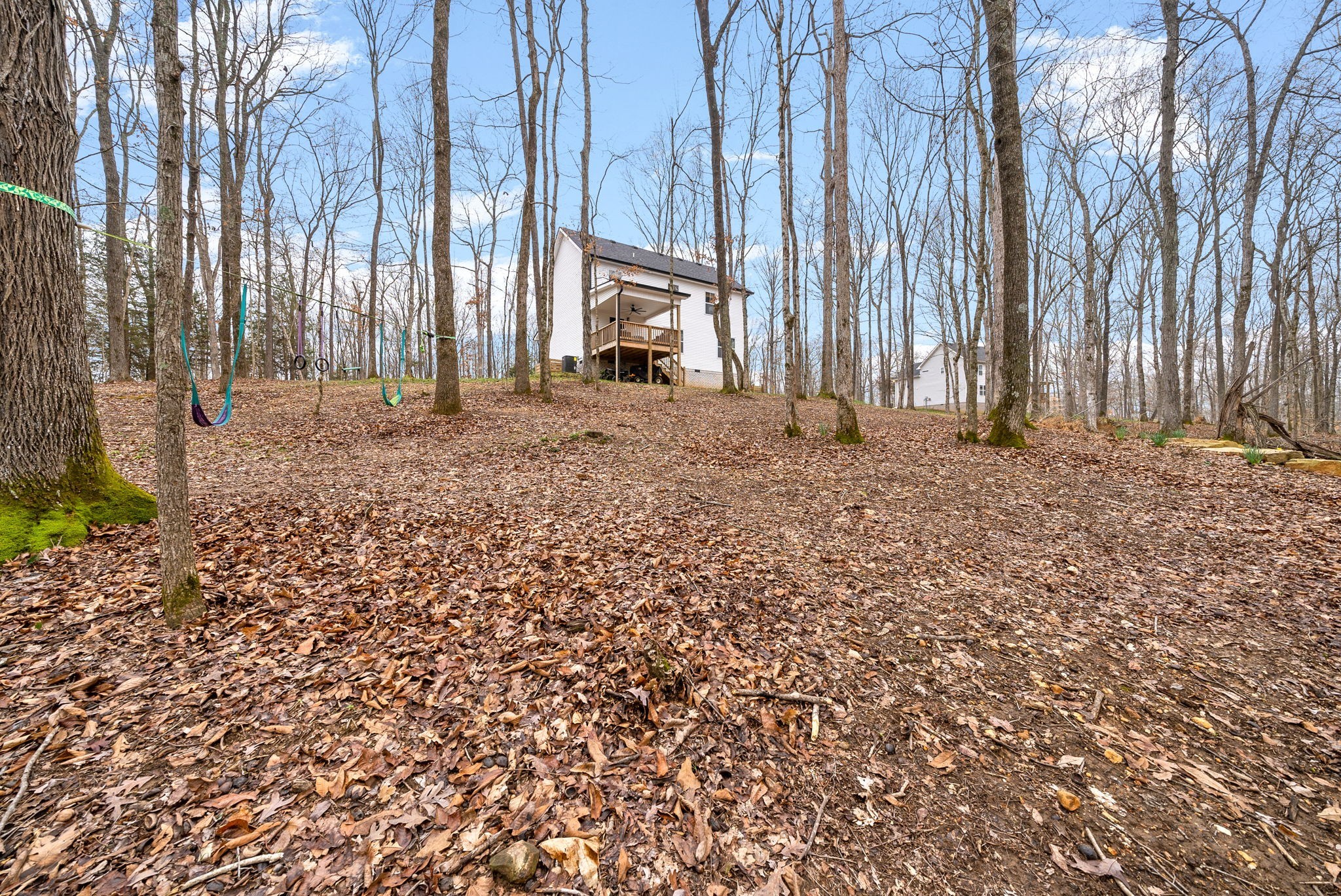 4525 Chester Harris Road Woodlawn, TN 37191 - Photo 30 of 33 Gallery Image 30