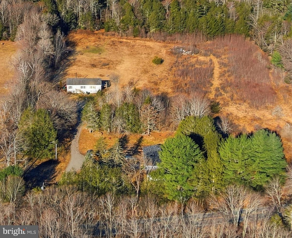 103 Ceramic Drive Newfoundland, PA 18445 - Photo 27 of 35 a view of a yard covered with trees