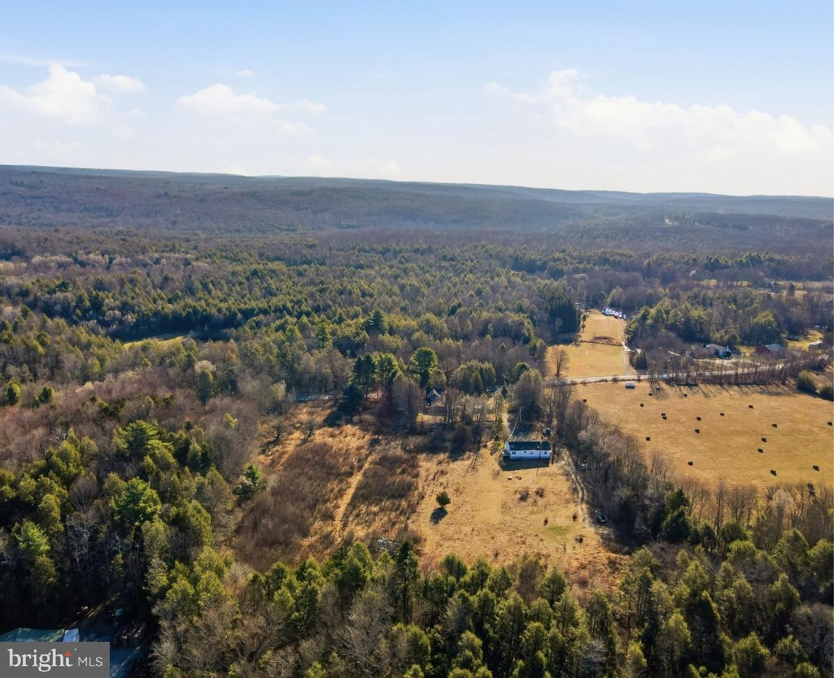 103 Ceramic Drive Newfoundland, PA 18445 - Photo 28 of 35 a view of a city