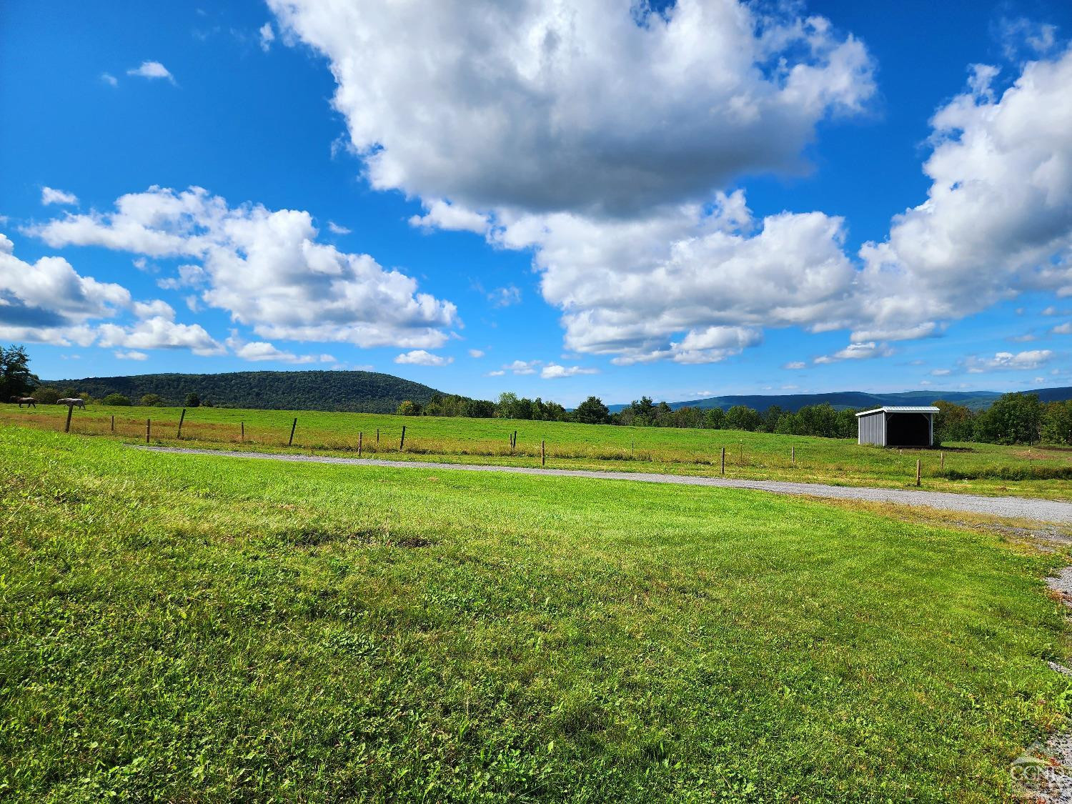 285 Gridley Road Middleburgh, NY 12122 - Photo 11 of 17 Photo 11