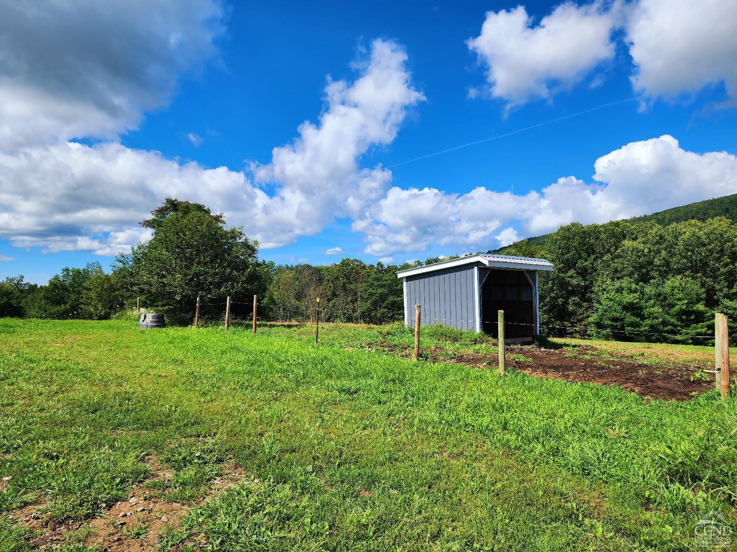 285 Gridley Road Middleburgh, NY 12122 - Photo 14 of 17 Photo 15