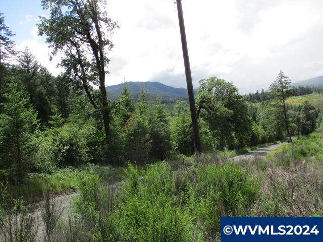 0 Northwest Fairdale Road Yamhill, OR 97148 - Photo 22 of 27