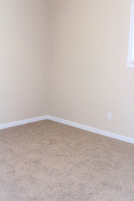 341 Mc Cormick Road Martinez, GA 30907 - Photo 20 of 24