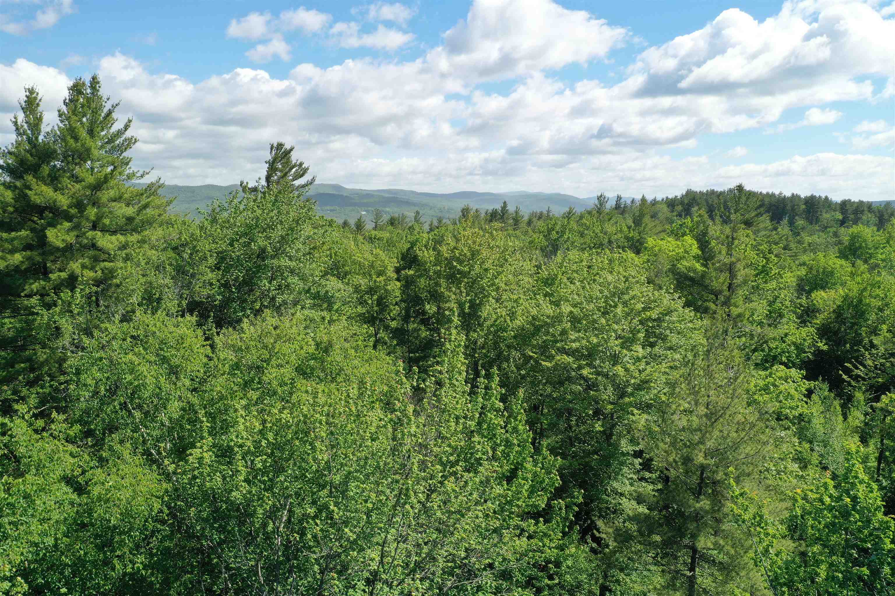0 Fenvale Road Andover, NH 03216 - Photo 2 of 17