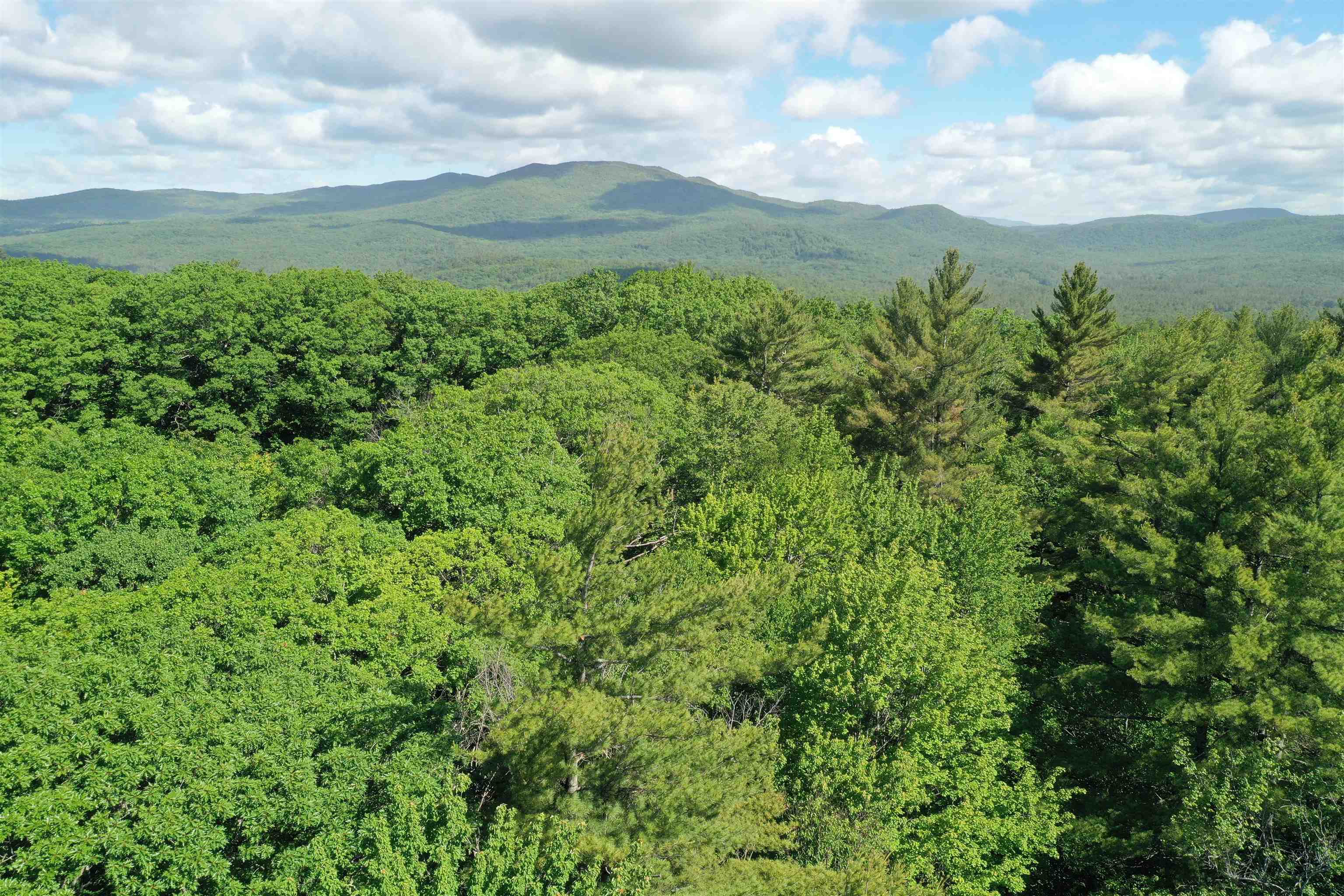 0 Fenvale Road Andover, NH 03216 - Photo 7 of 17