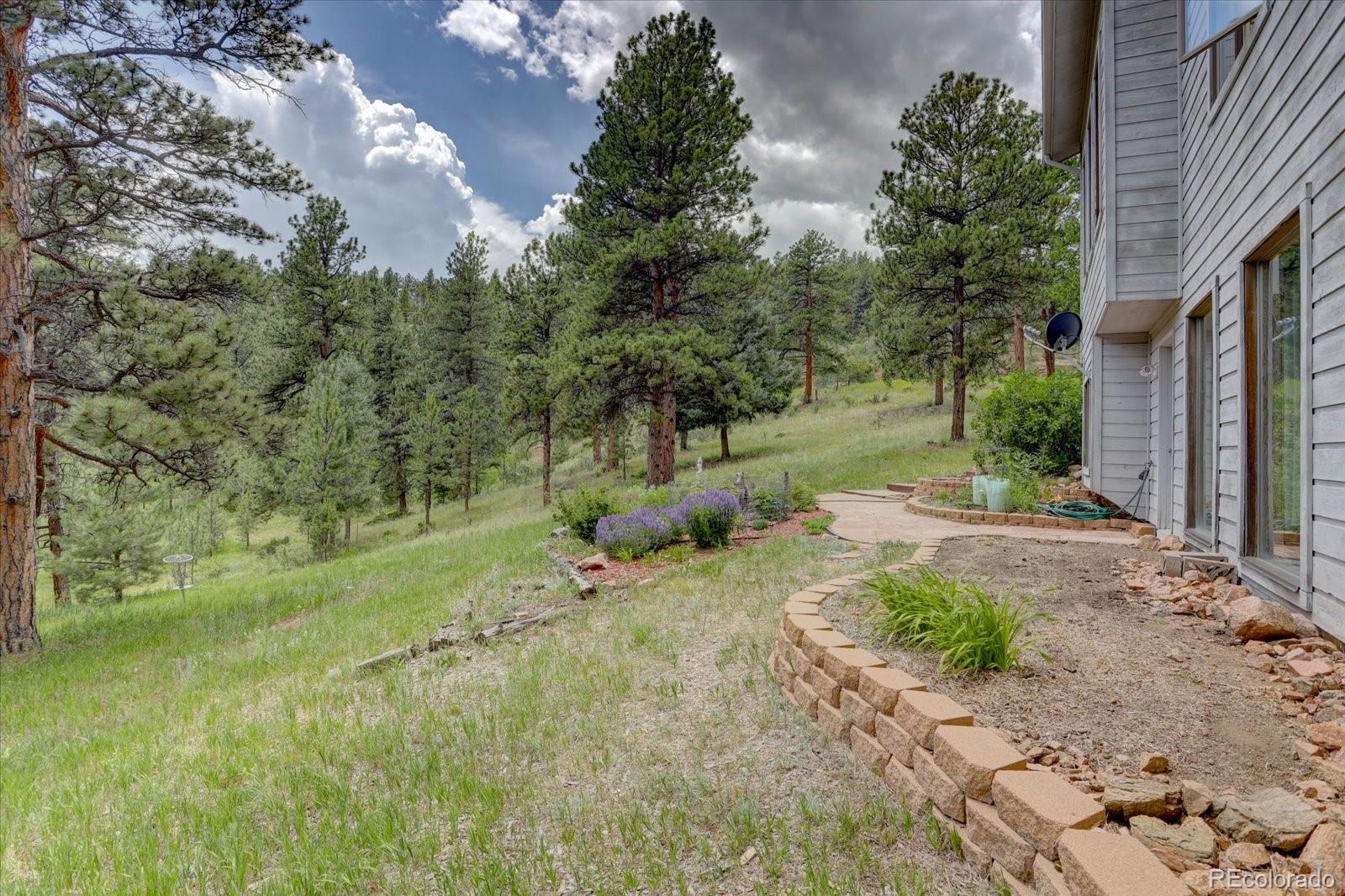 13662 Douglass Ranch Drive Pine, CO 80470 - Photo 6 of 40