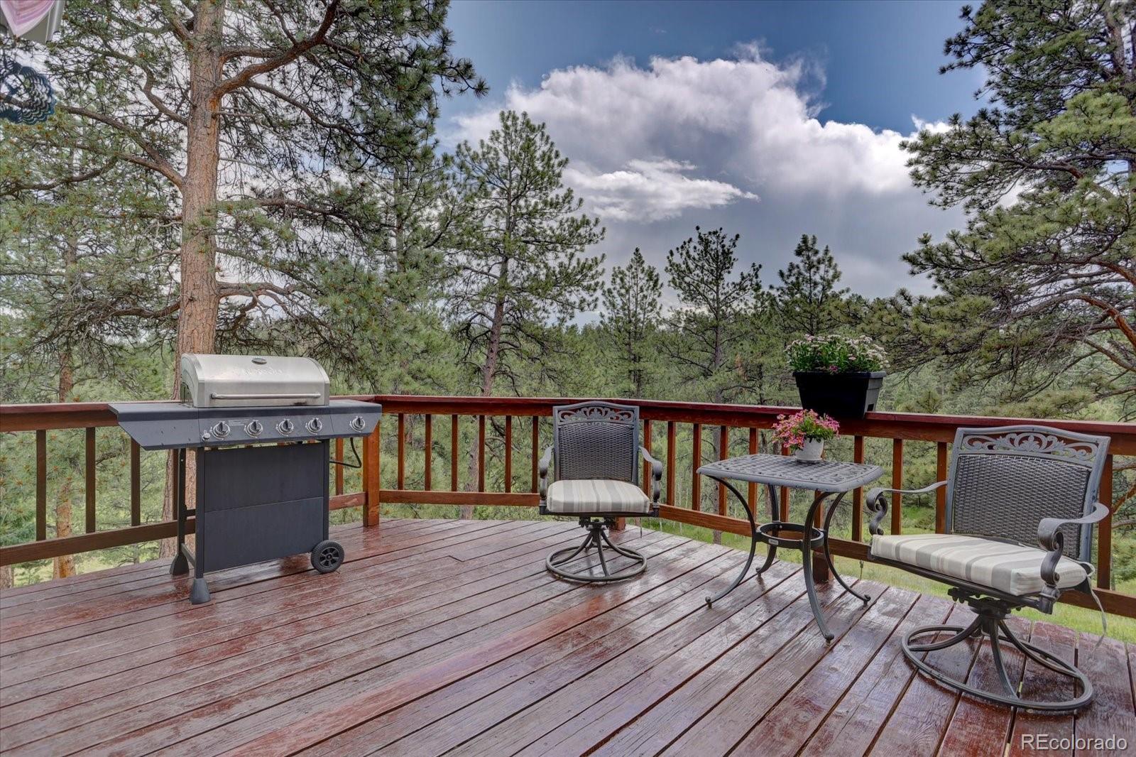 13662 Douglass Ranch Drive Pine, CO 80470 - Photo 10 of 40