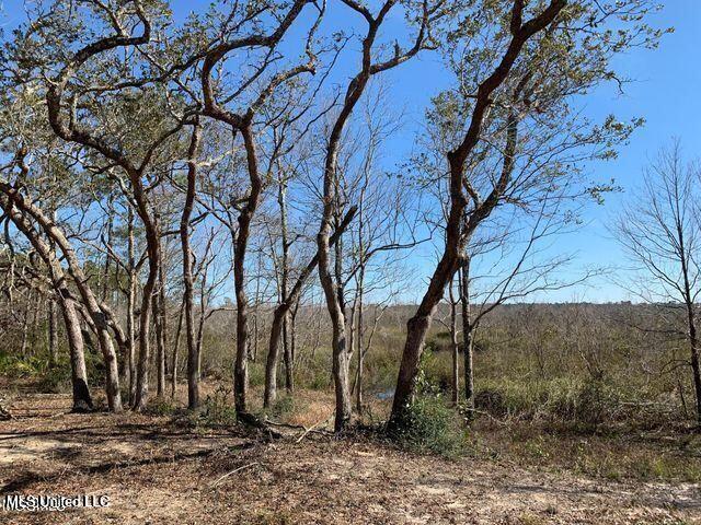 Menge Ave Pass Pass Christian, MS 39571 - Photo 2 of 4 20220126154445548822000000-o