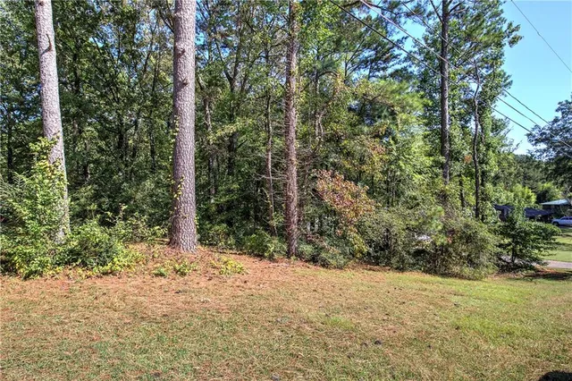 a view of a yard with plants and trees