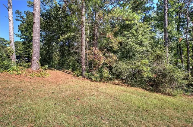 a view of a yard with a tree