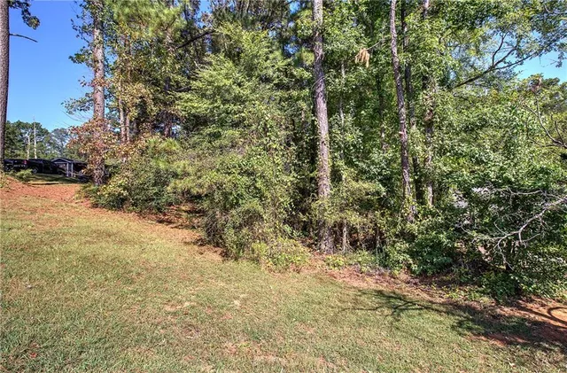 a view of bushes and trees
