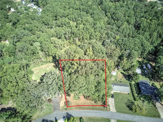 a view of a yard with plants and large trees