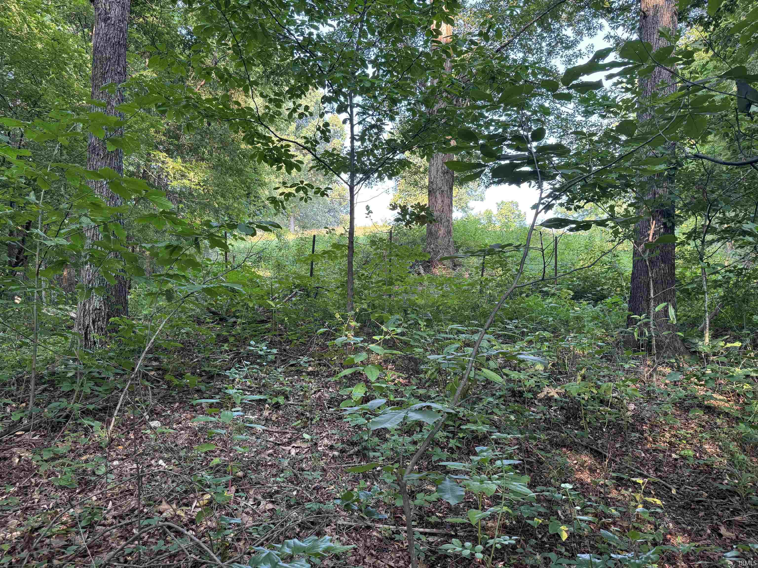 Brushy Fork Road Tell City, IN 47586 - Photo 38 of 47 Gallery Image 38