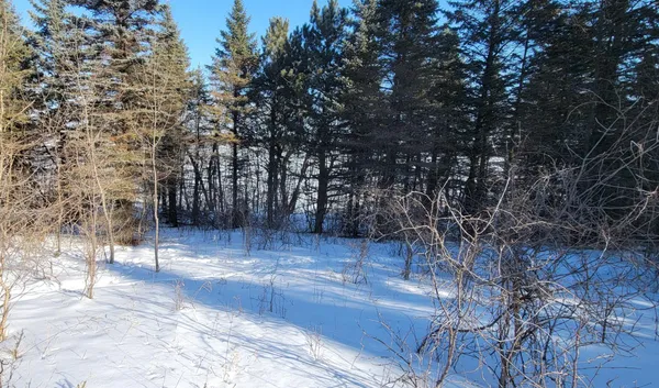 $249,900 | Tbd 10th Avenue West, Alexandria, MN 56308