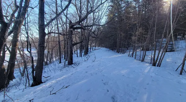 $249,900 | Tbd 10th Avenue West, Alexandria, MN 56308