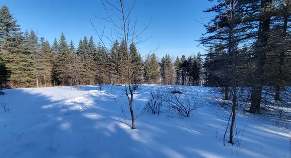 $249,900 | Tbd 10th Avenue West, Alexandria, MN 56308