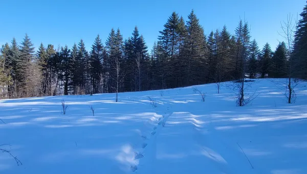 $249,900 | Tbd 10th Avenue West, Alexandria, MN 56308