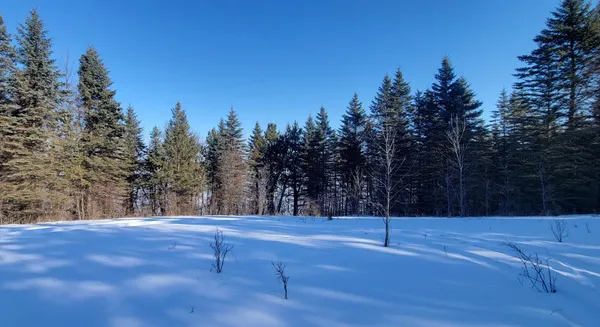 $249,900 | Tbd 10th Avenue West, Alexandria, MN 56308