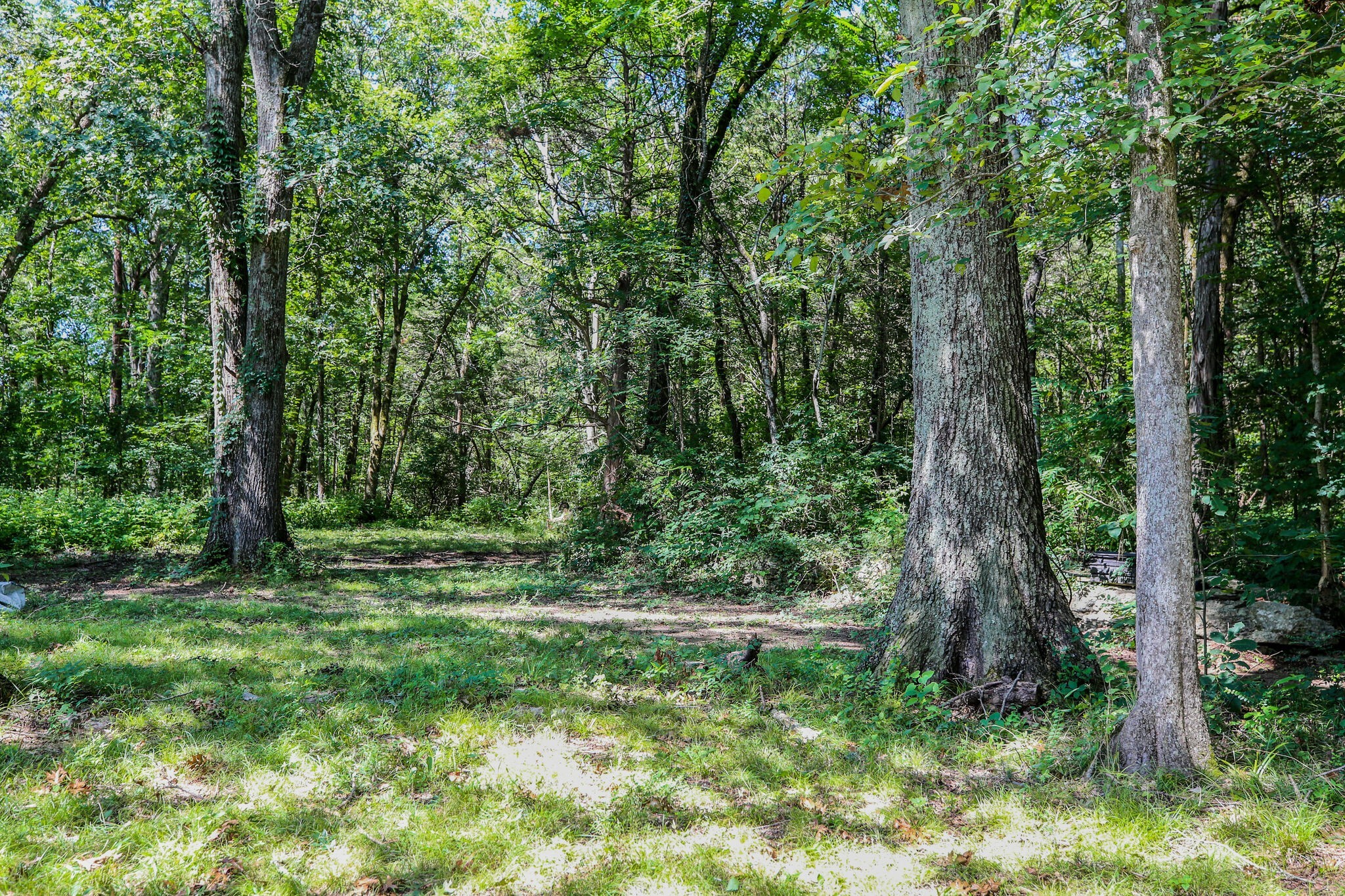 6137 West Buckeye Bottom Road Murfreesboro, TN 37129 - Photo 8 of 29 Gallery Image 8