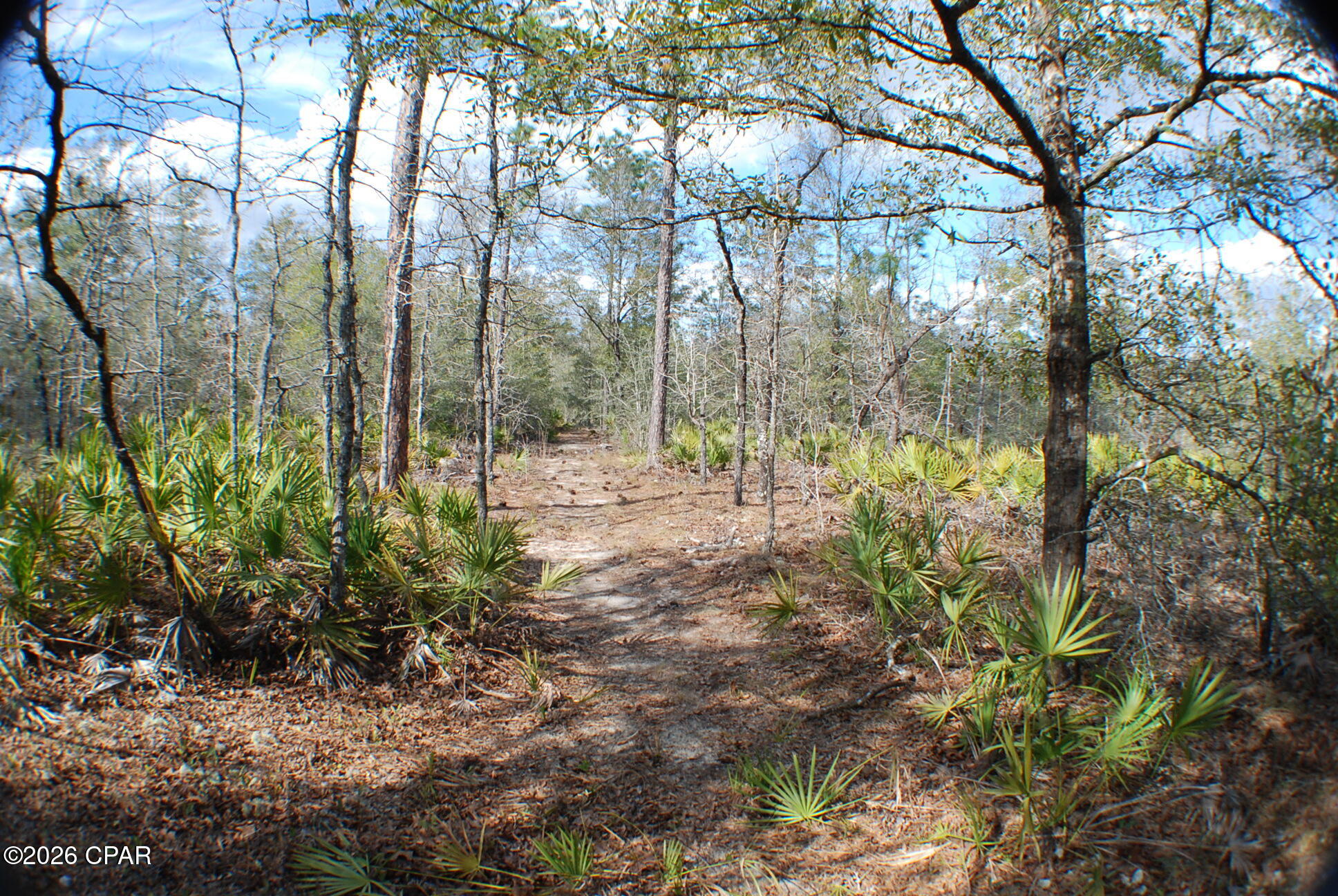 0 Dickerson Road Fountain, FL 32438 - Photo 11 of 19