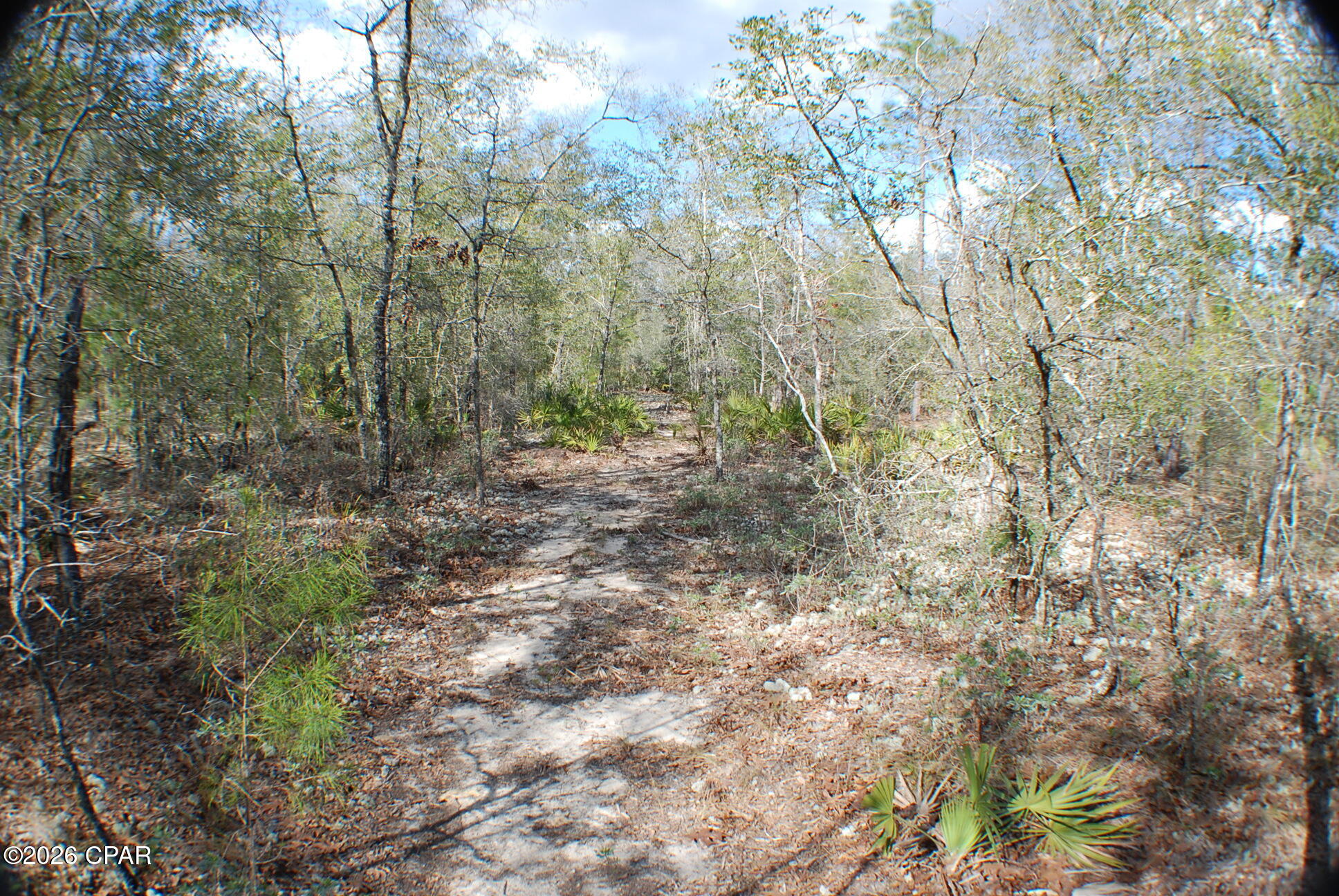 0 Dickerson Road Fountain, FL 32438 - Photo 12 of 19