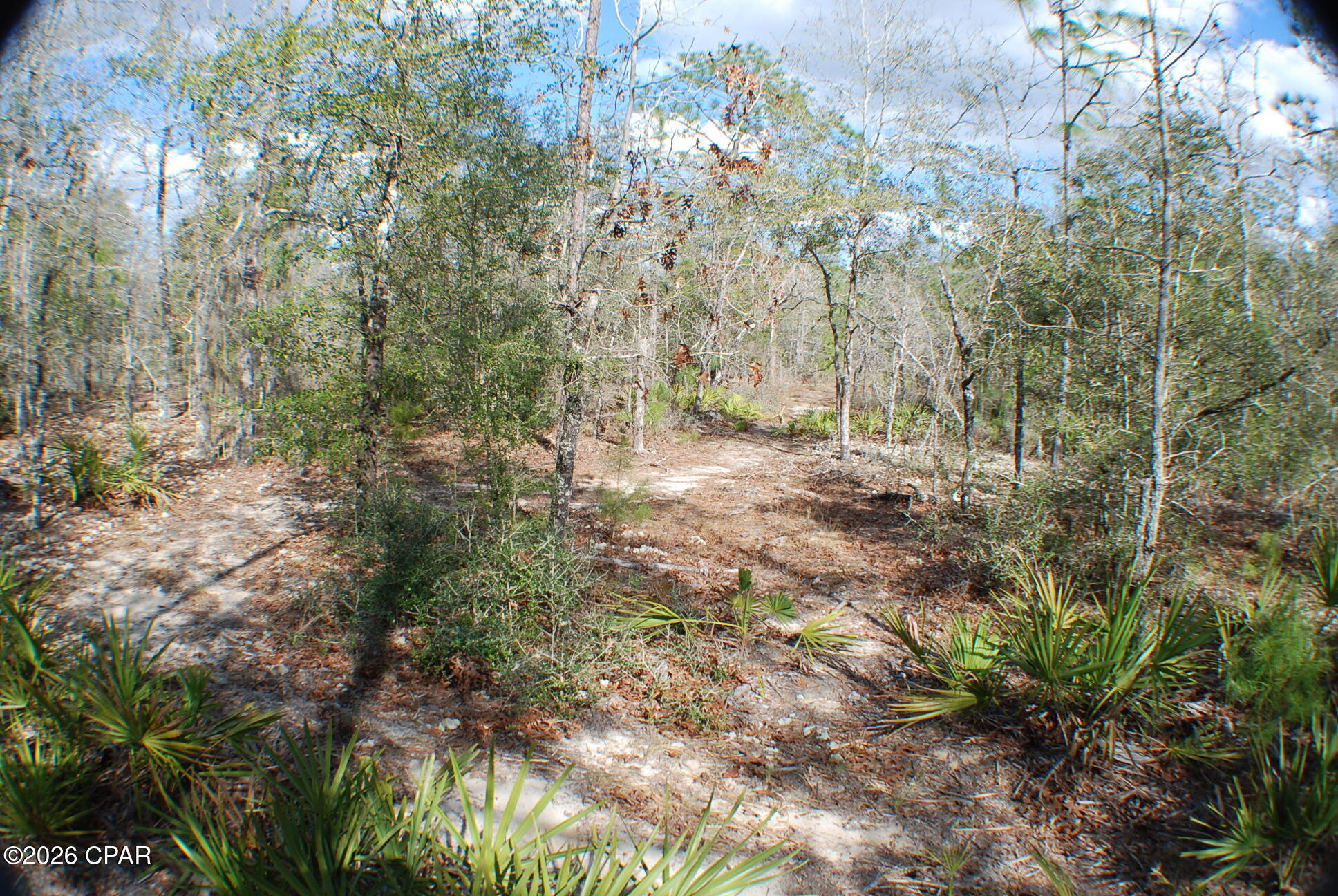 0 Dickerson Road Fountain, FL 32438 - Photo 13 of 19