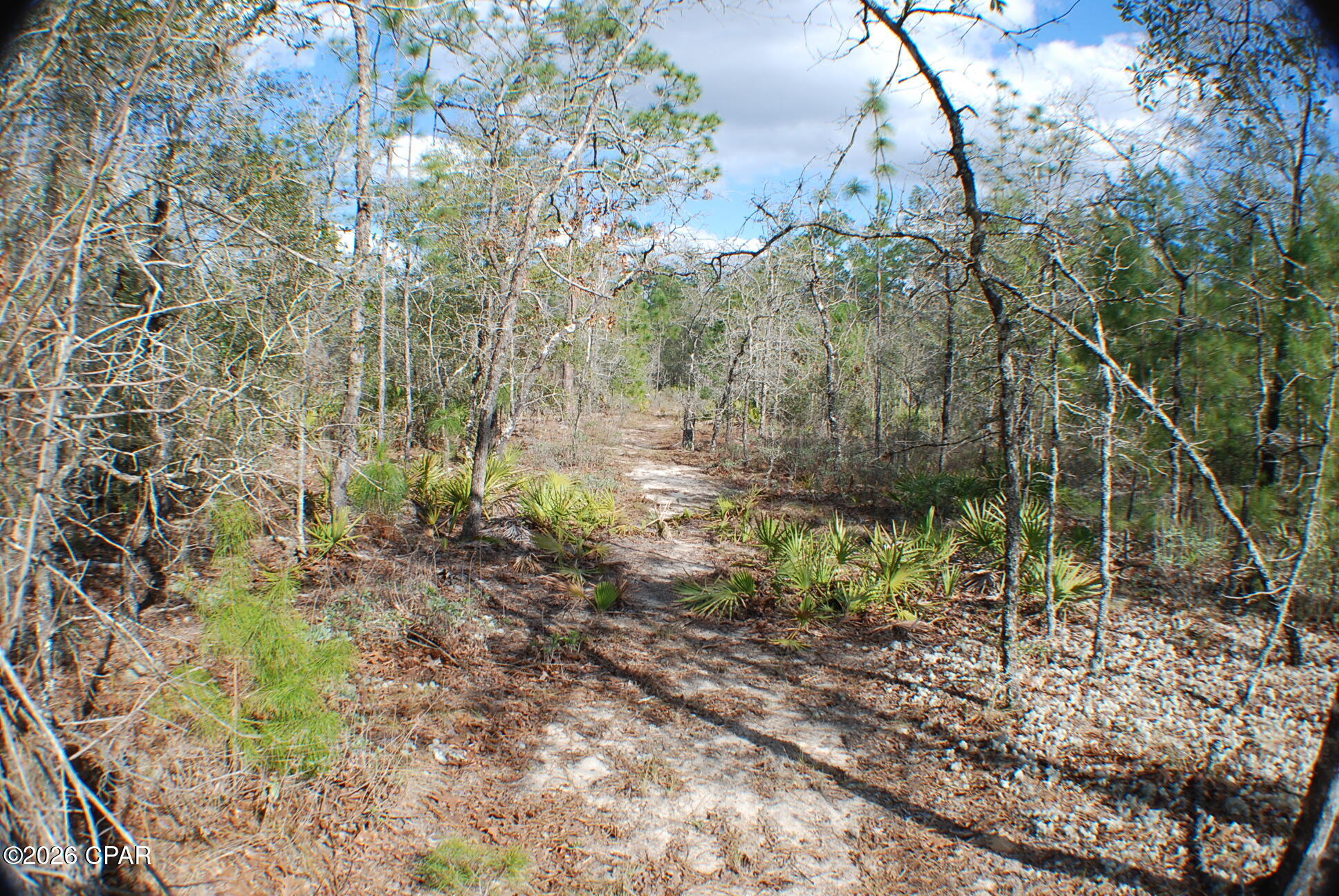 0 Dickerson Road Fountain, FL 32438 - Photo 14 of 19