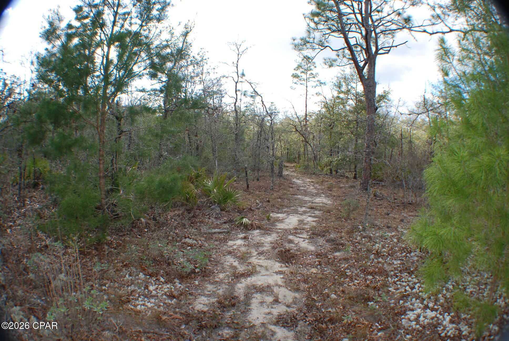 0 Dickerson Road Fountain, FL 32438 - Photo 15 of 19