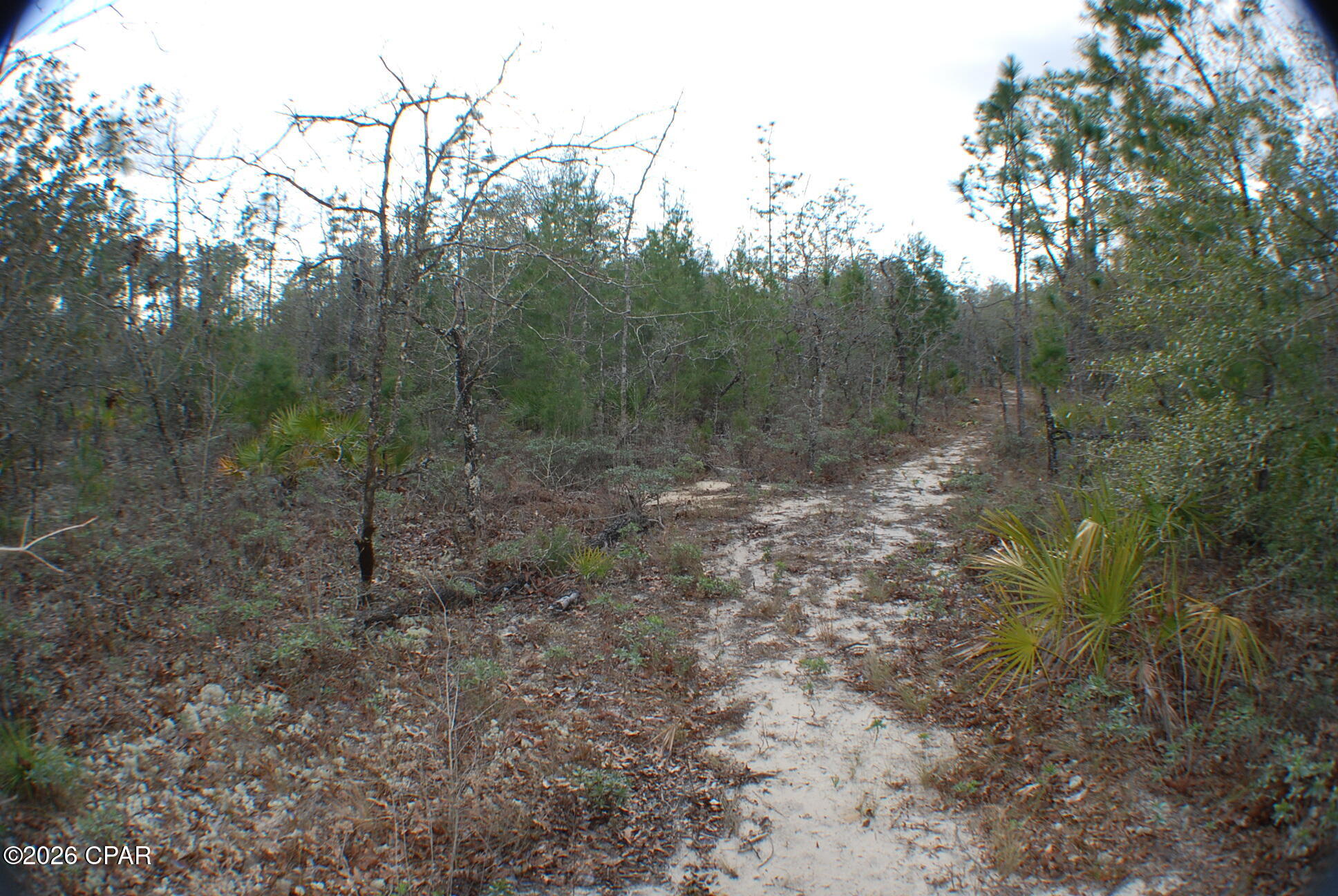 0 Dickerson Road Fountain, FL 32438 - Photo 16 of 19