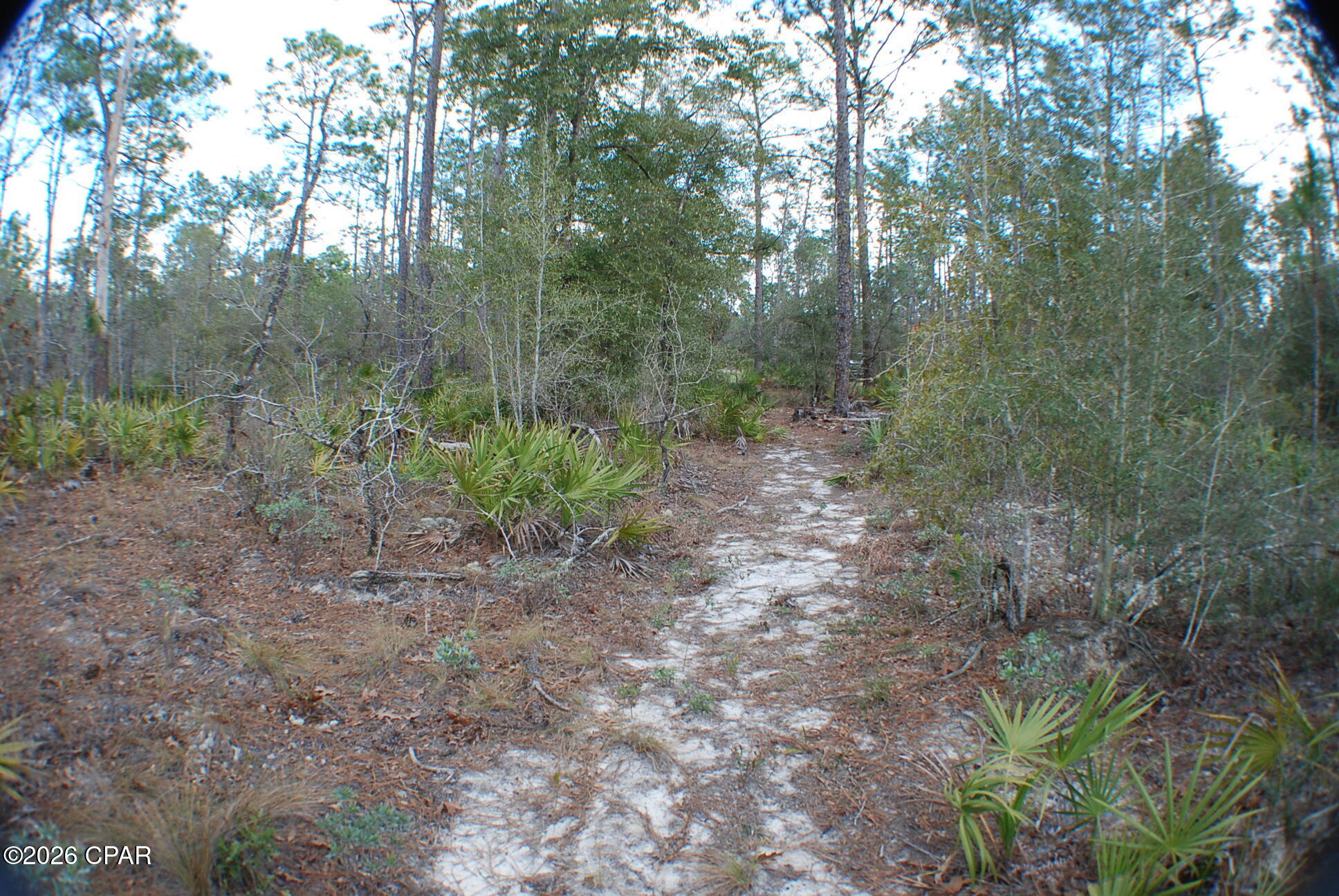 0 Dickerson Road Fountain, FL 32438 - Photo 17 of 19