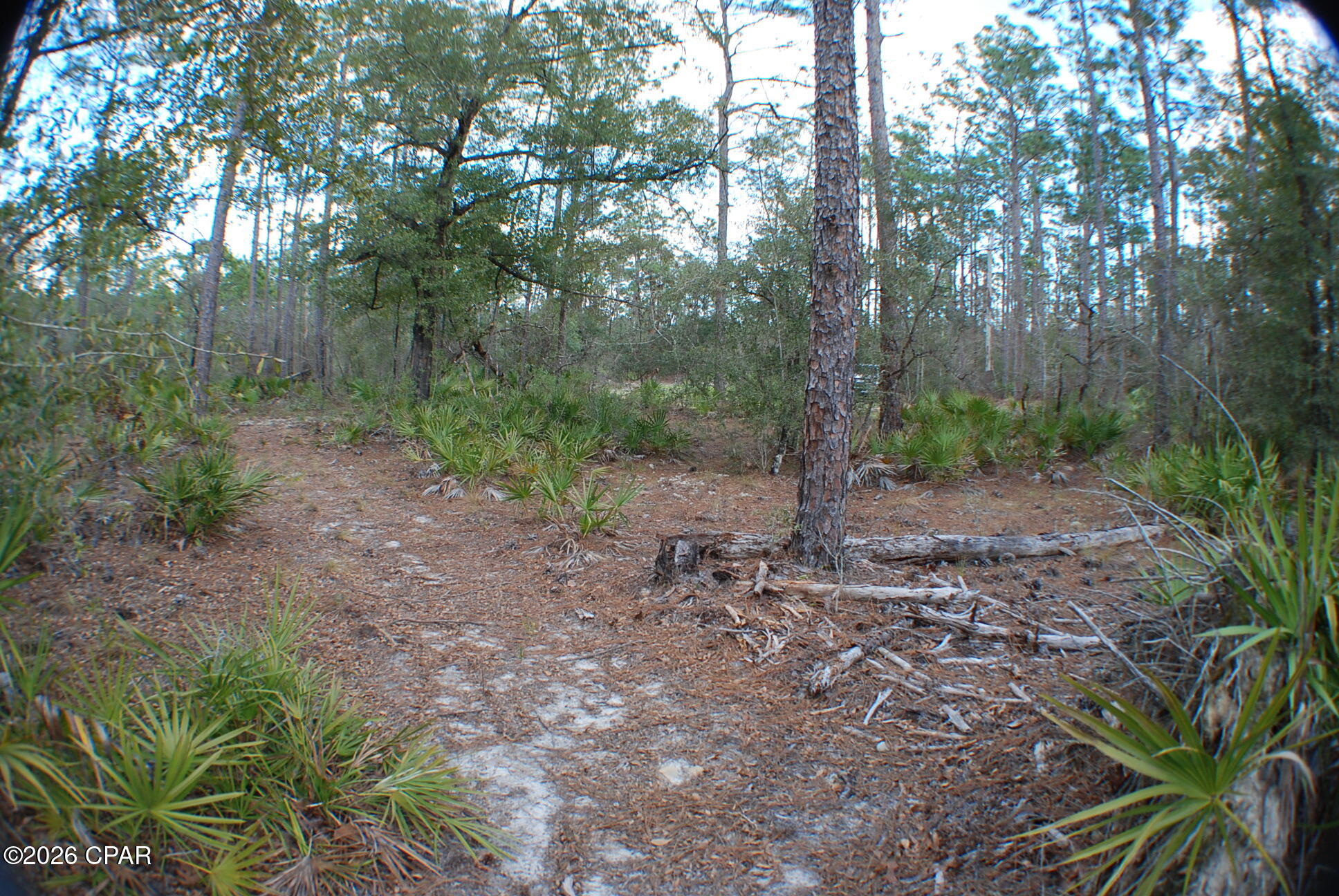 0 Dickerson Road Fountain, FL 32438 - Photo 18 of 19