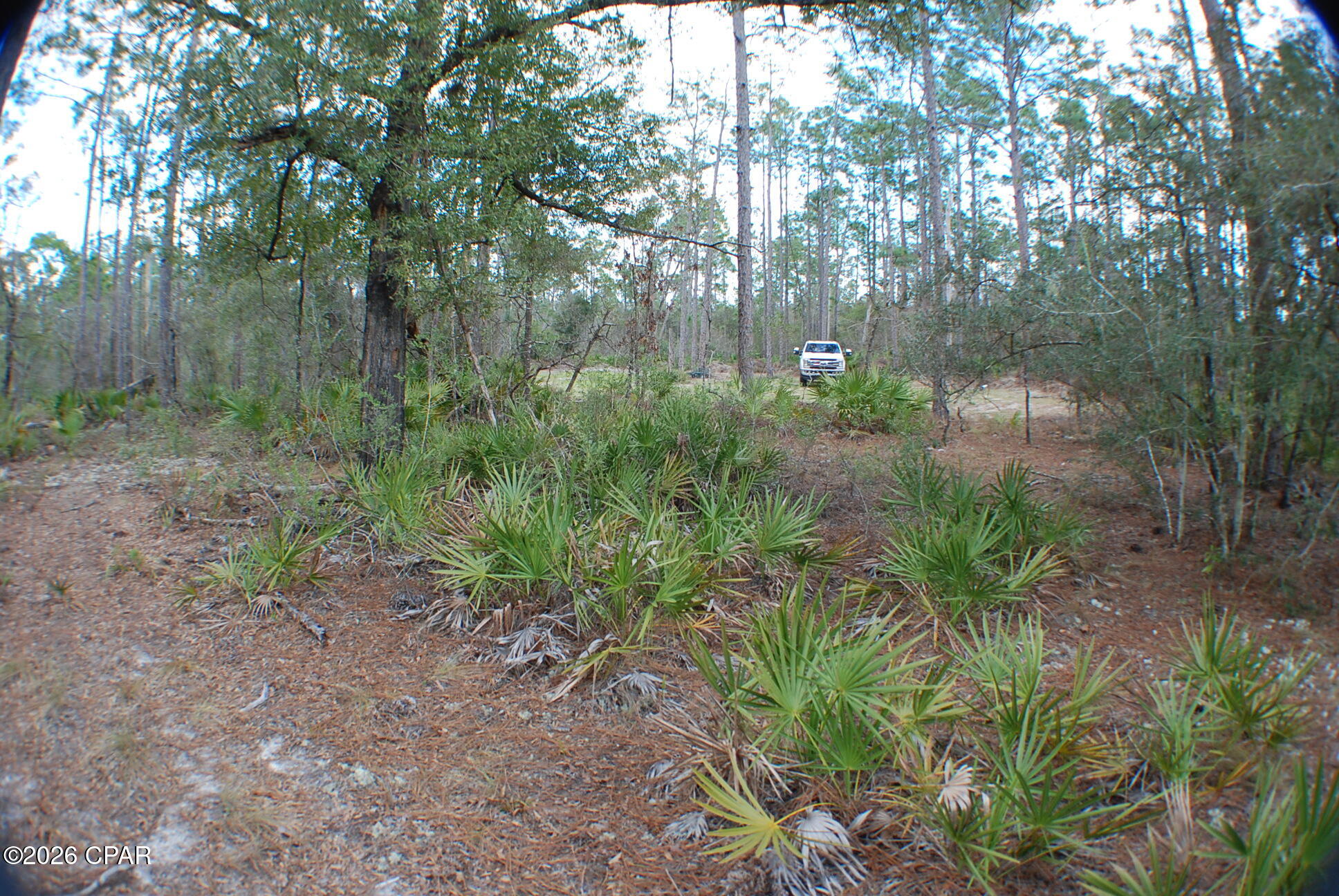 0 Dickerson Road Fountain, FL 32438 - Photo 19 of 19