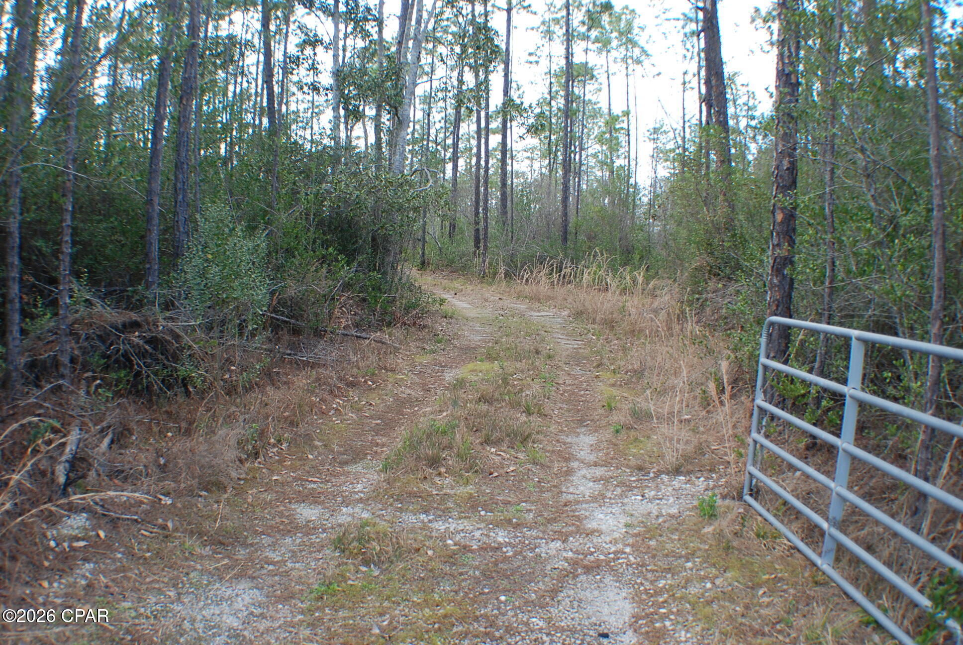 0 Dickerson Road Fountain, FL 32438 - Photo 3 of 19