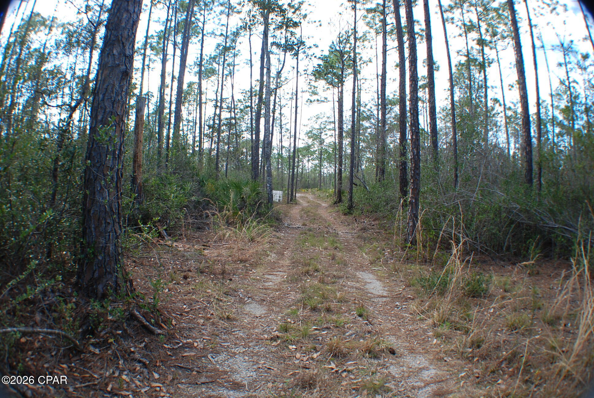 0 Dickerson Road Fountain, FL 32438 - Photo 4 of 19