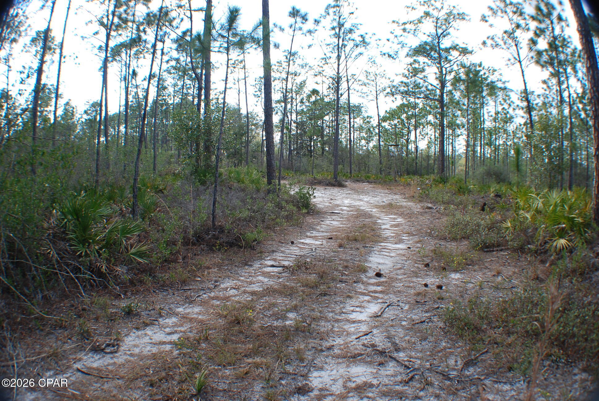 0 Dickerson Road Fountain, FL 32438 - Photo 5 of 19