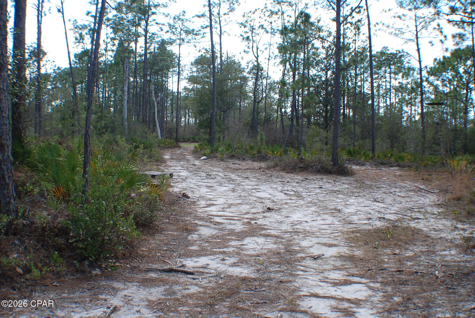 0 Dickerson Road Fountain, FL 32438 - Photo 6 of 19