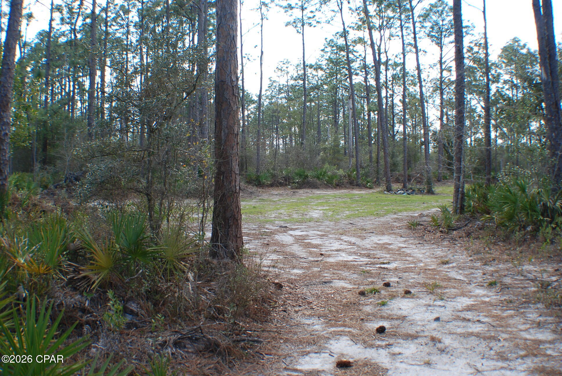 0 Dickerson Road Fountain, FL 32438 - Photo 7 of 19