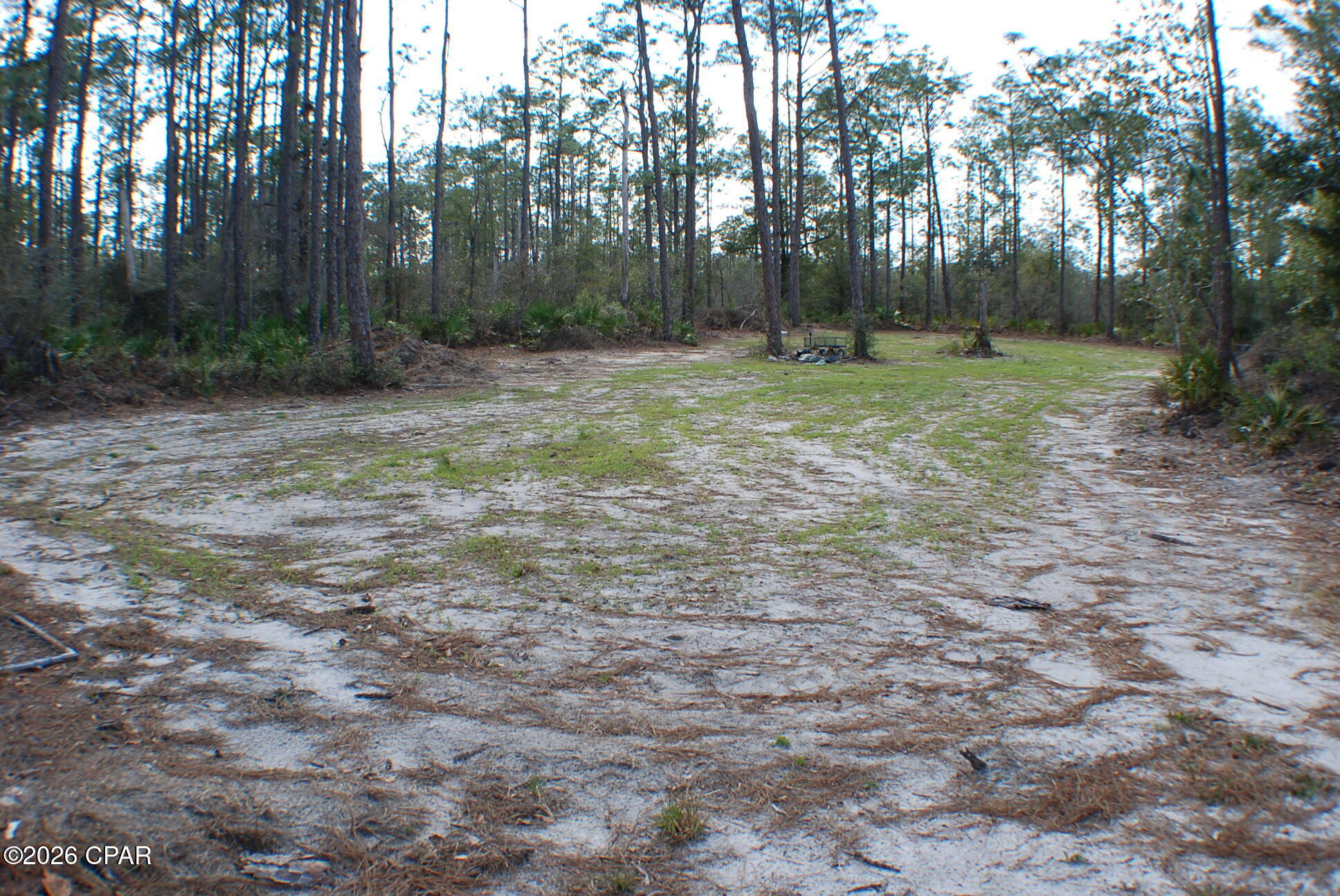 0 Dickerson Road Fountain, FL 32438 - Photo 8 of 19