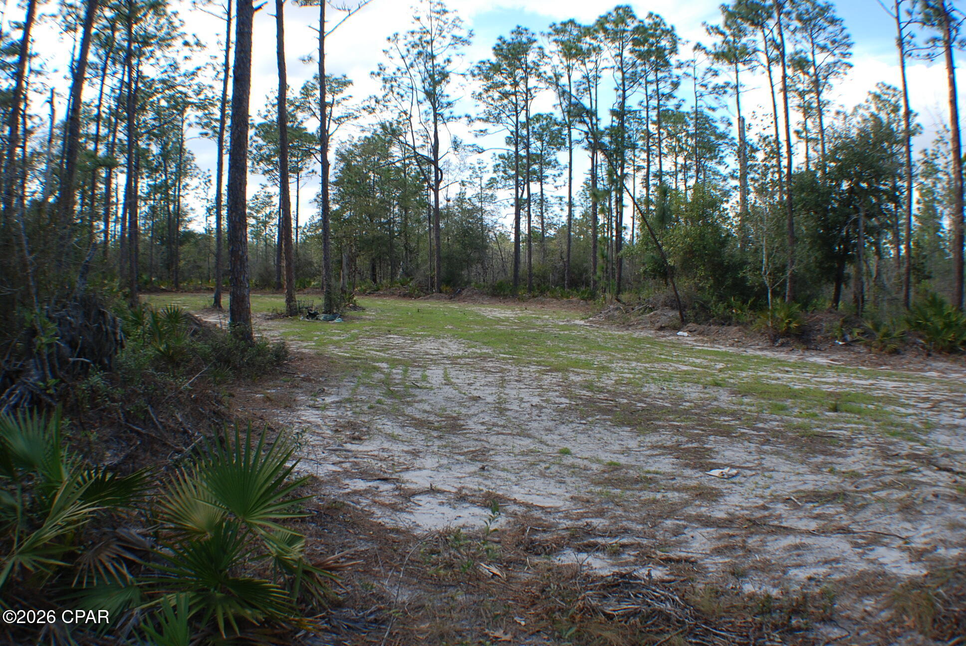 0 Dickerson Road Fountain, FL 32438 - Photo 9 of 19
